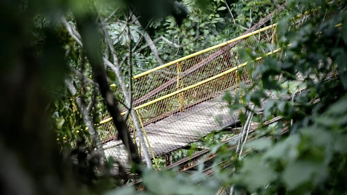 WhatsApp Image 2026-04-06 at 14.38.32 (1)