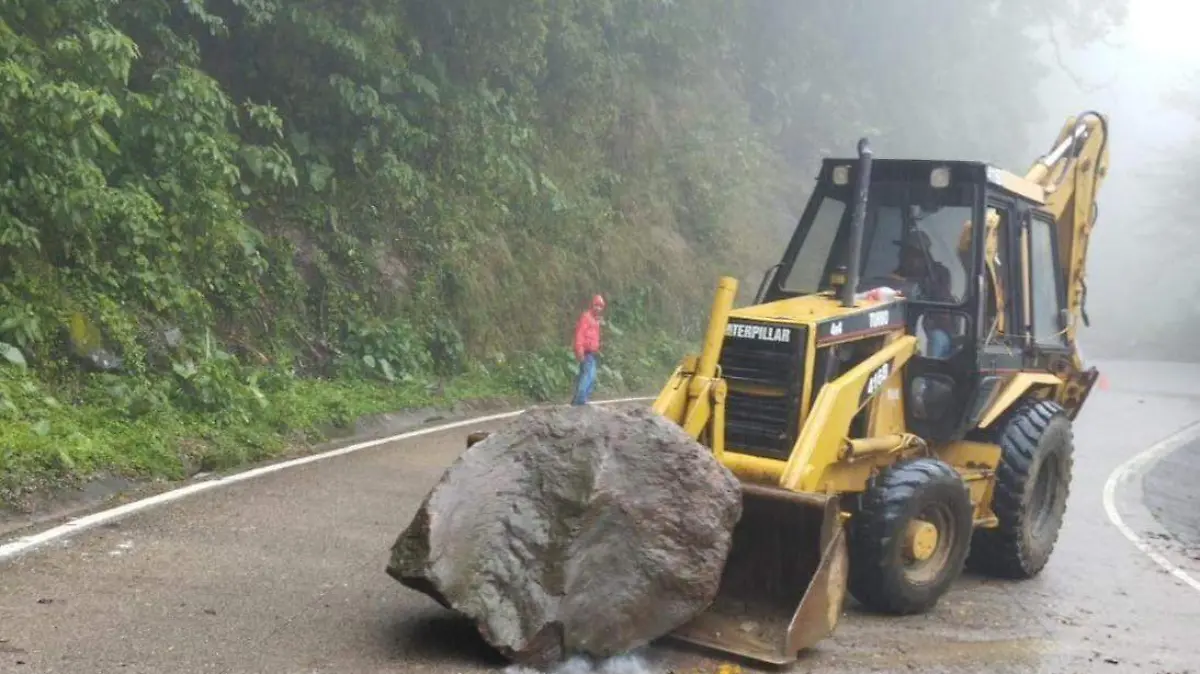 WhatsApp Image 2026-04-06 at 15.15.28