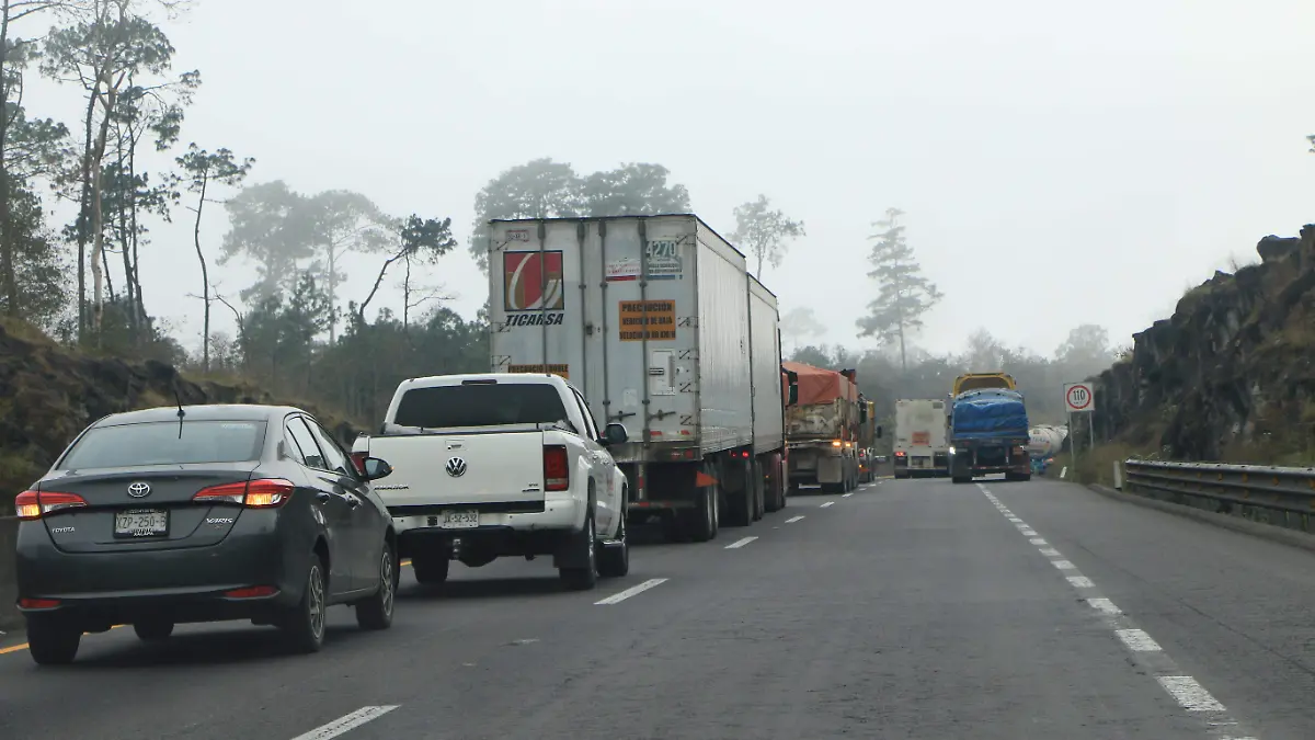 transportistas