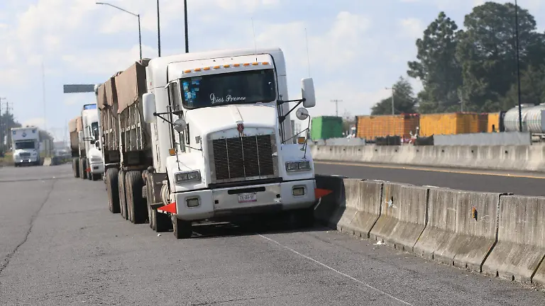 WhatsApp Image 2026-04-08 at 11.03.05 AM