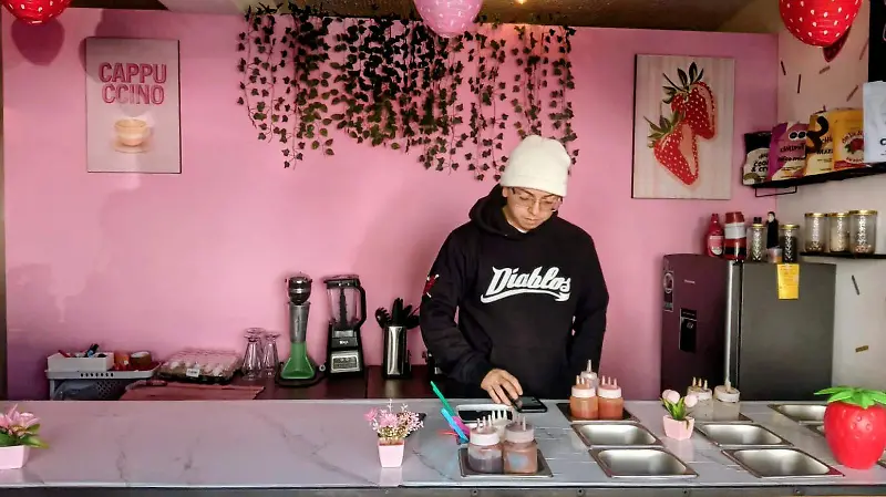 Alimentación 
