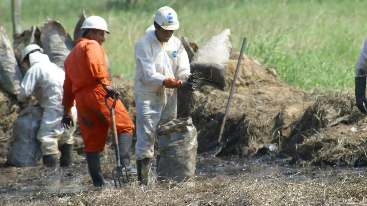 WhatsApp Image 2026-04-09 at 3.42.12 PM (1)