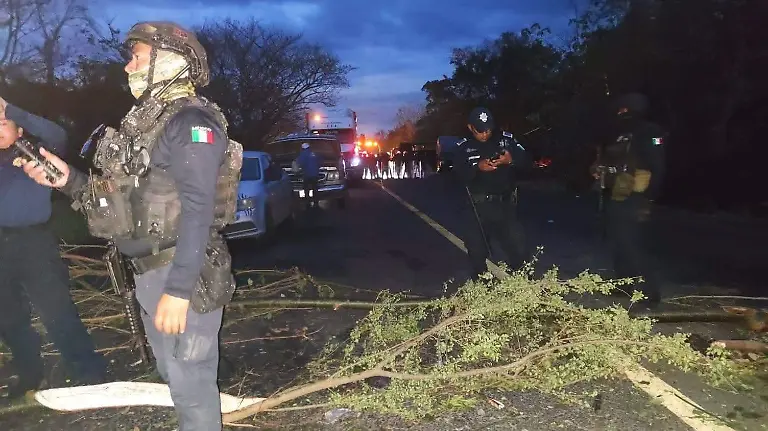 WhatsApp Image 2026-04-10 at 09.58.40 (1)