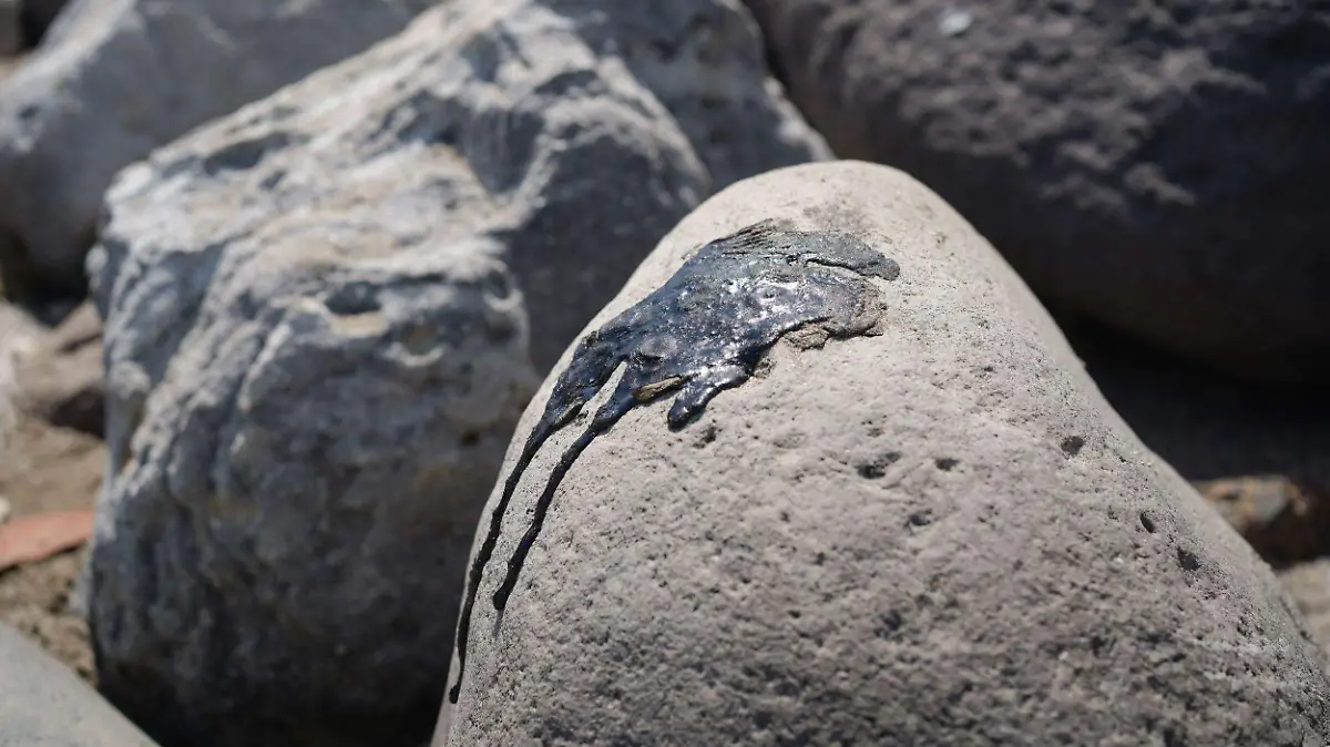 1074948_Veracruz Limpieza Hidrocarburo_impreso