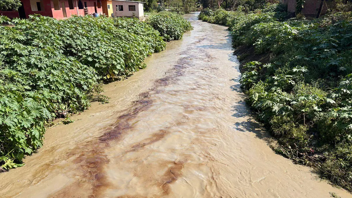 WhatsApp Image 2026-04-13 at 1.09.54 PM