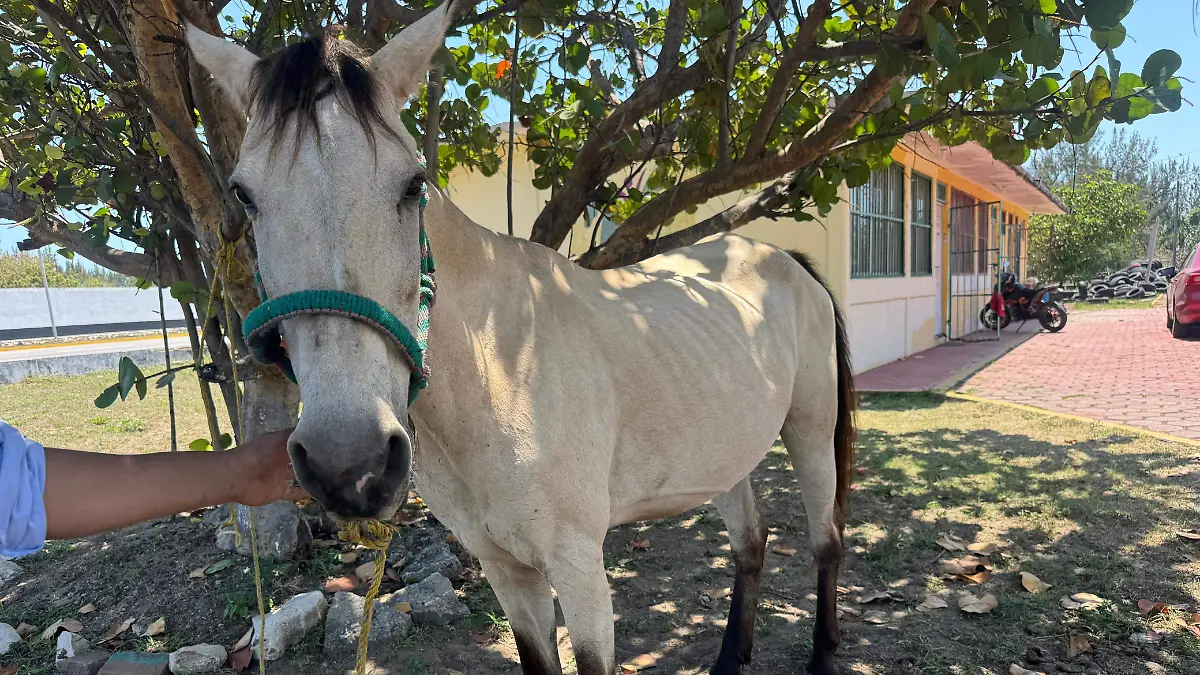 c4a3850c-ce19-4bbd-aa7a-a031635e91d7