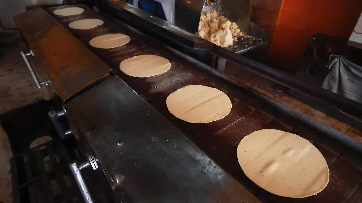 tortillas 