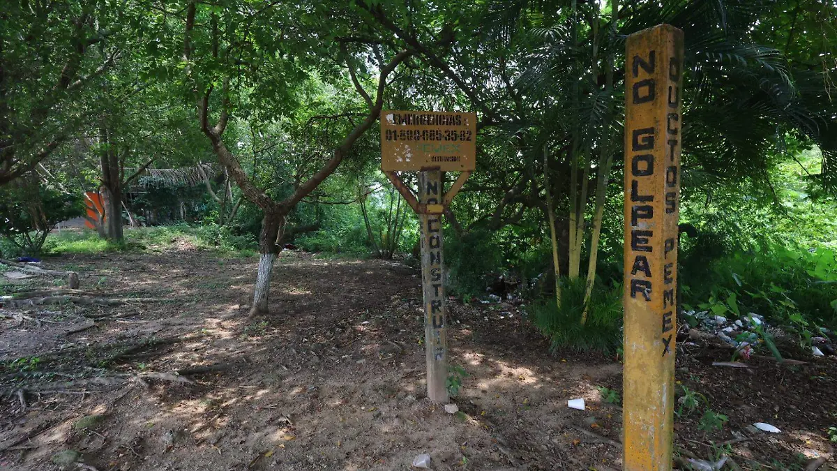 WhatsApp Image 2026-04-15 at 4.36.23 PM