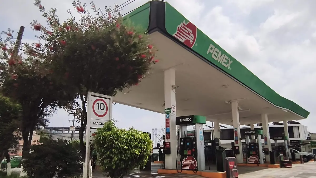 david- Gasolina