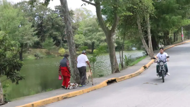 david- Laguna de Casa Blanca