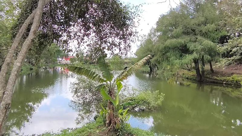 david- Laguna de Casa Blanca