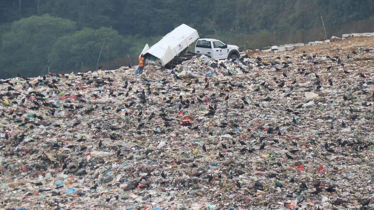 WhatsApp Image 2026-04-17 at 1.40.37 PM