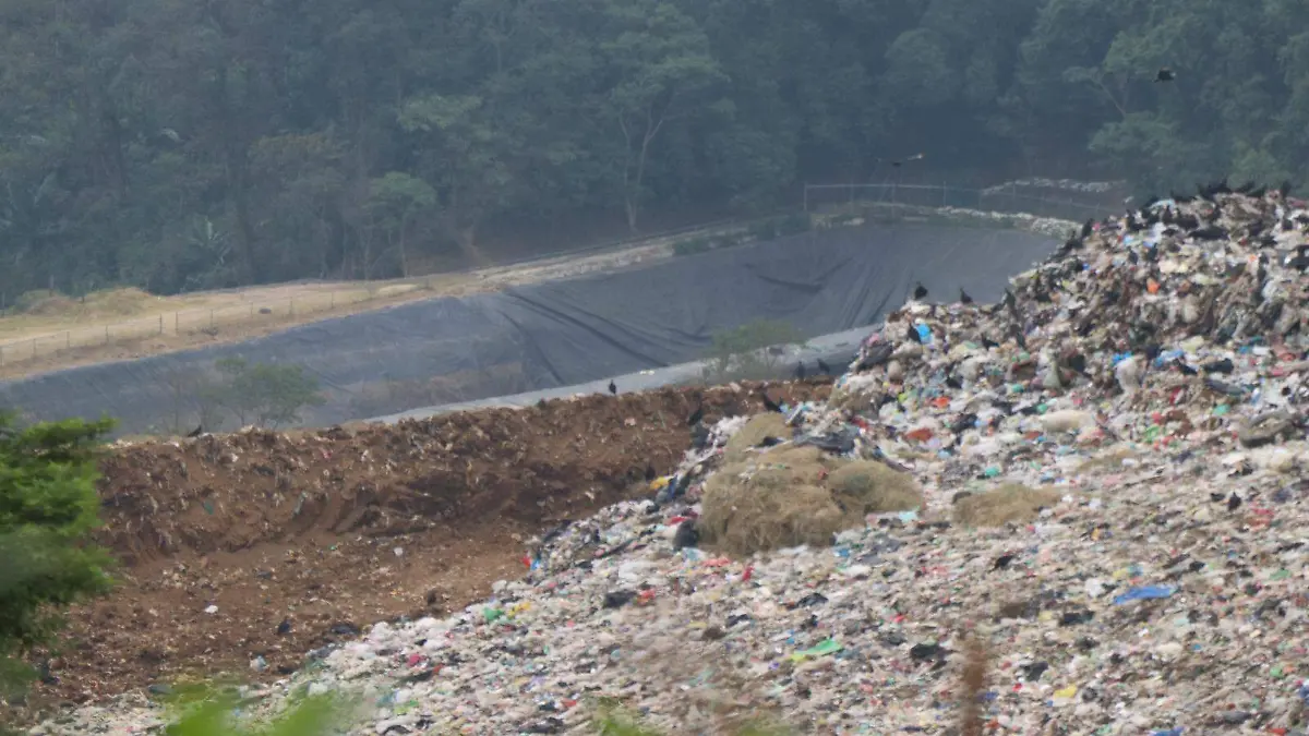 WhatsApp Image 2026-04-17 at 1.40.37 PM (1)