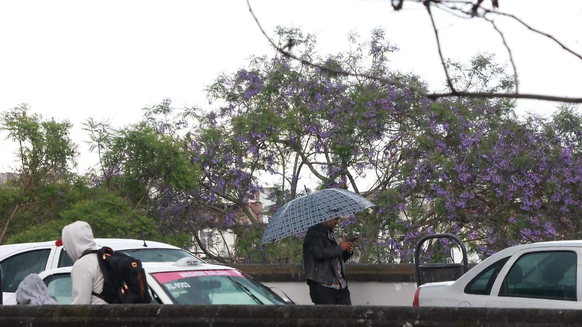 WhatsApp Image 2026-04-18 at 9.51.14 AM