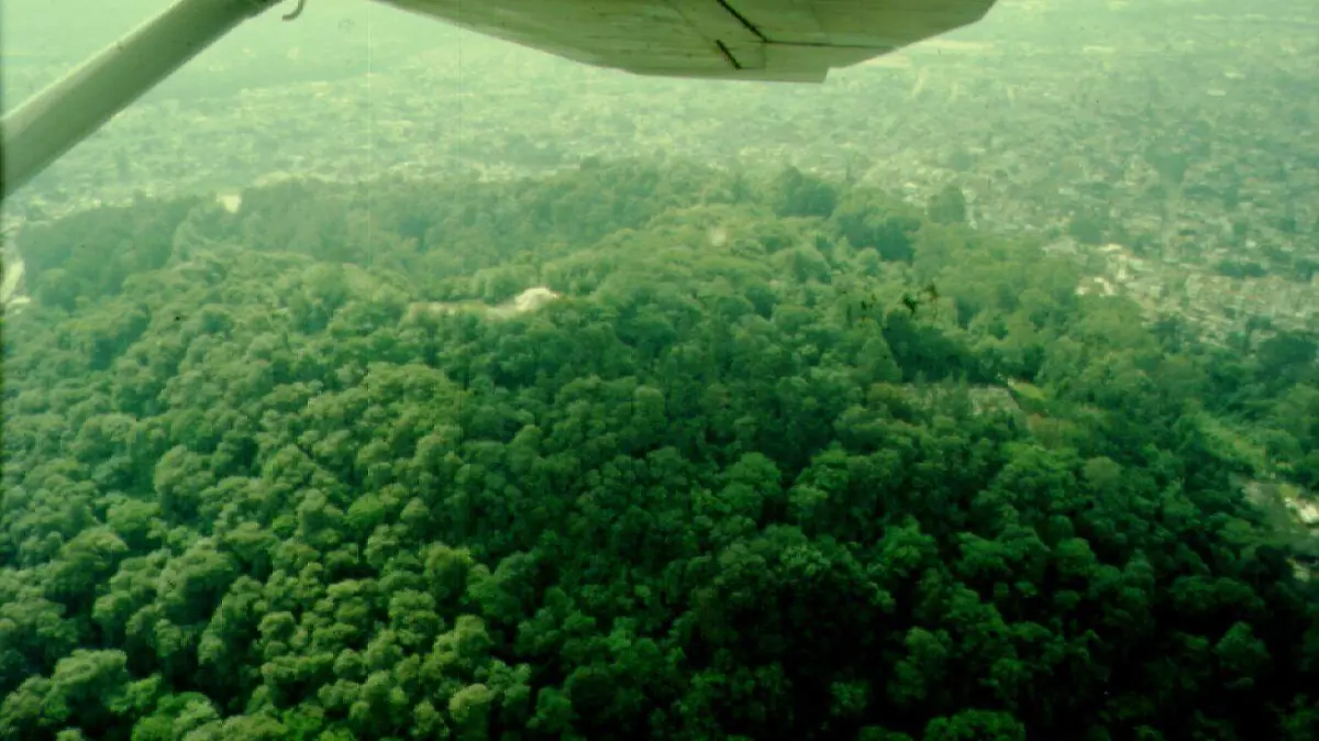 WhatsApp Image 2026-04-20 at 5.53.12 PM