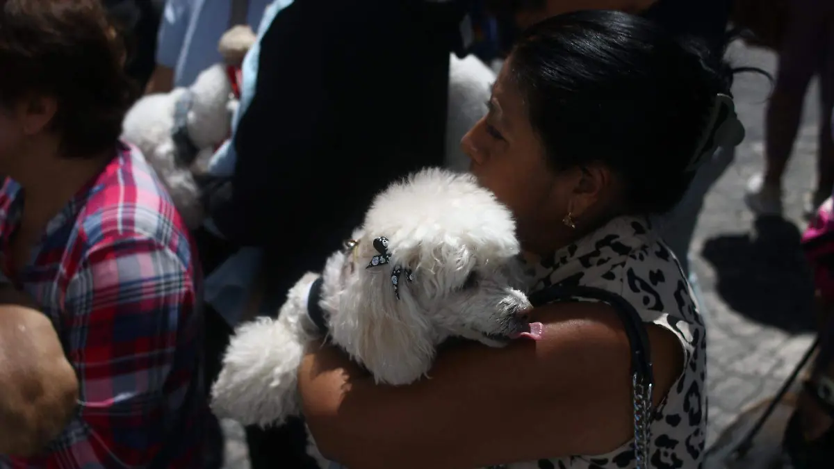 WhatsApp Image 2026-04-21 at 12.33.04 PM