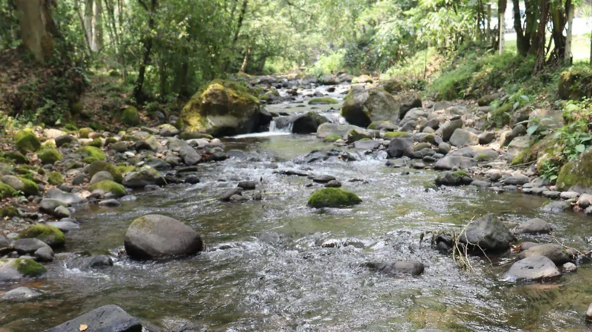 WhatsApp Image 2026-04-22 at 11.49.06 (1)