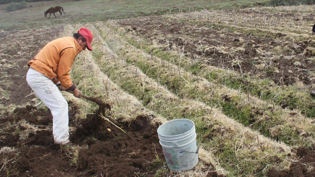 WhatsApp Image 2026-04-22 at 11.49.07