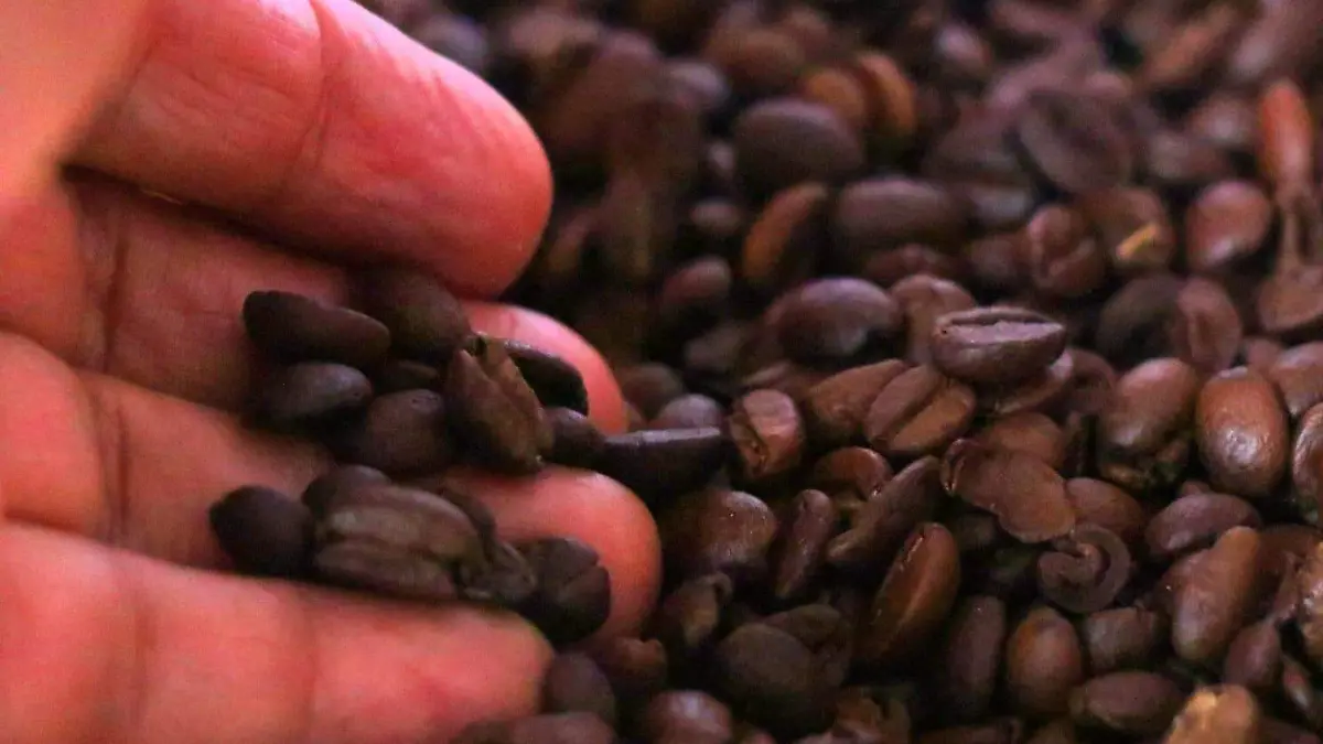 WhatsApp Image 2026-04-22 at 13.32.02