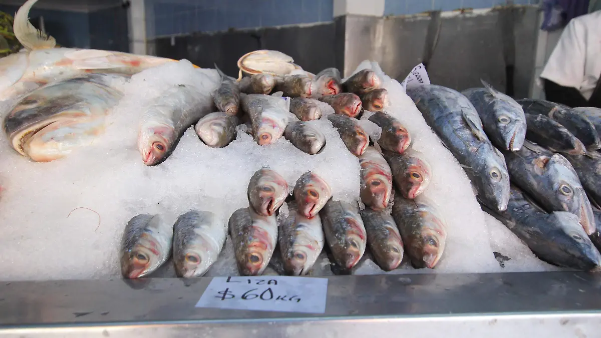 peces (2)