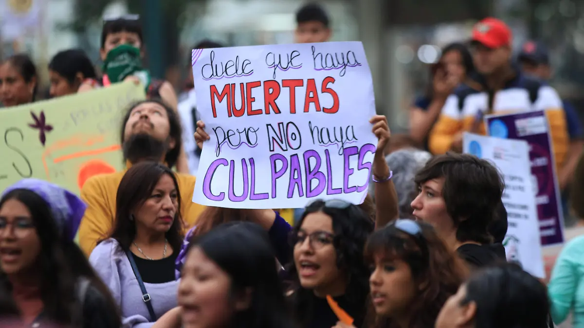 feministas marcha (93)