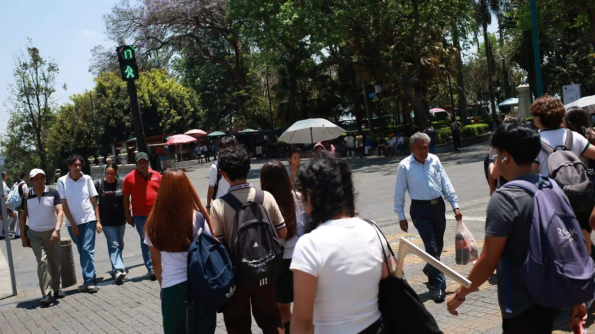 CALOR (2)