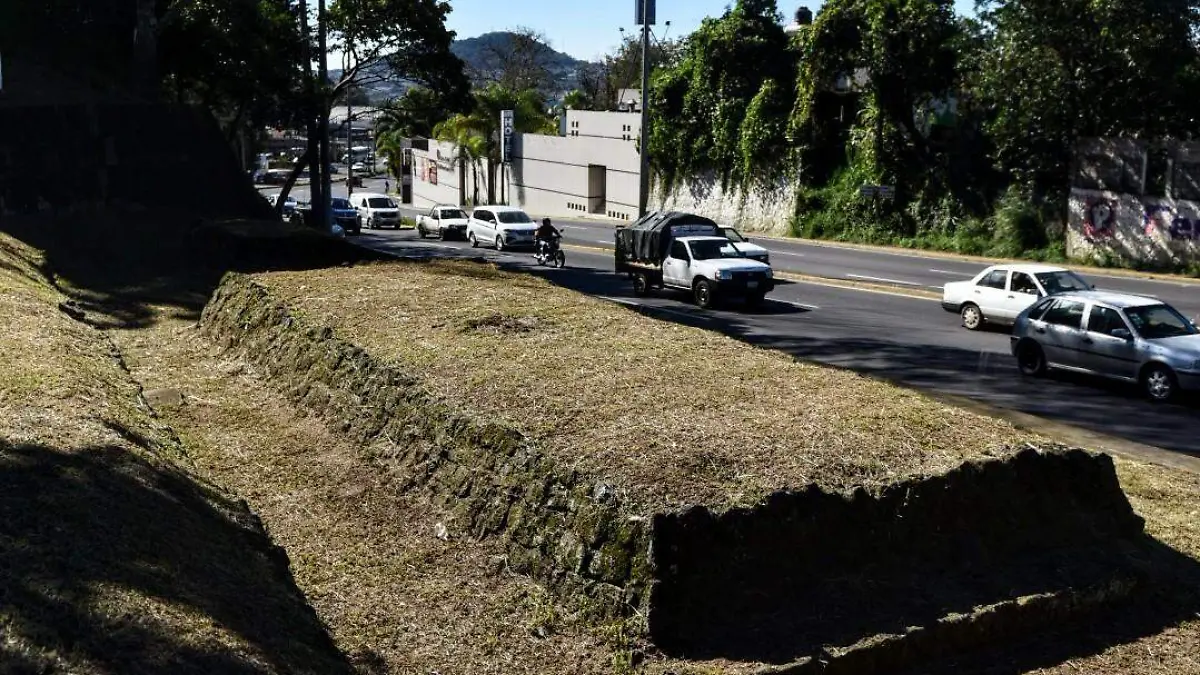 RENE-ZONA ARQUEOLOGICA (1)