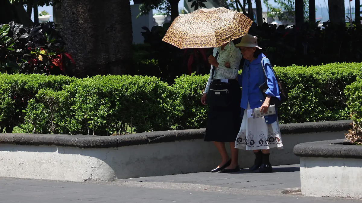 calor (5)