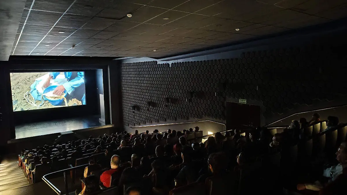 Cine