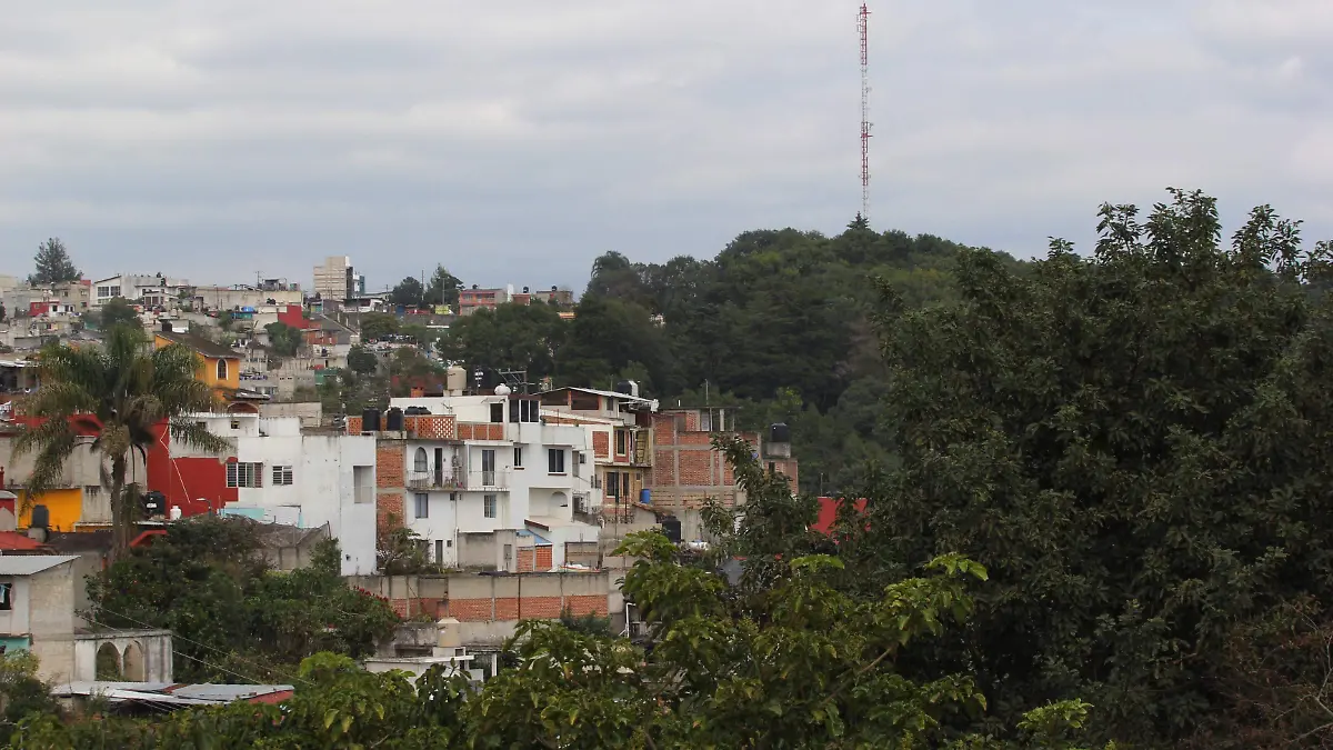 colonia2