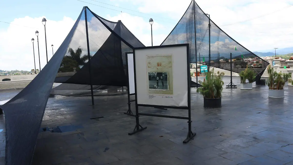 exposicion libros (4)