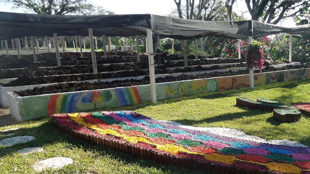 Planta Lombricomposta Teocelo3