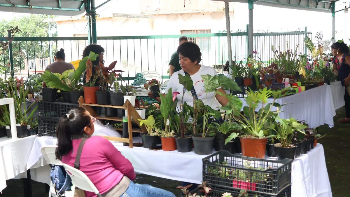 mercado (16)