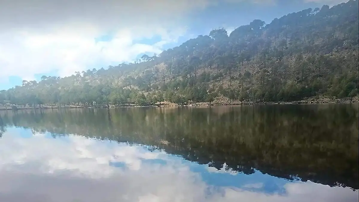 Laguna (1) (1)