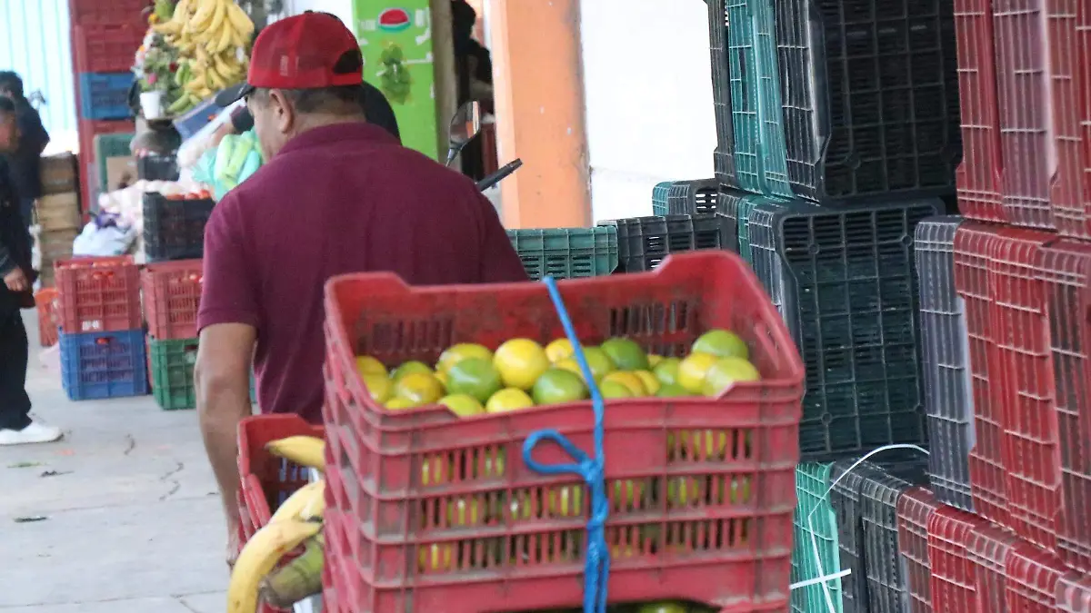 david- Empresas Locales4