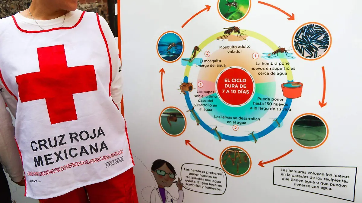 1033965_Campaña vs Dengue de la Cruz Roja_web