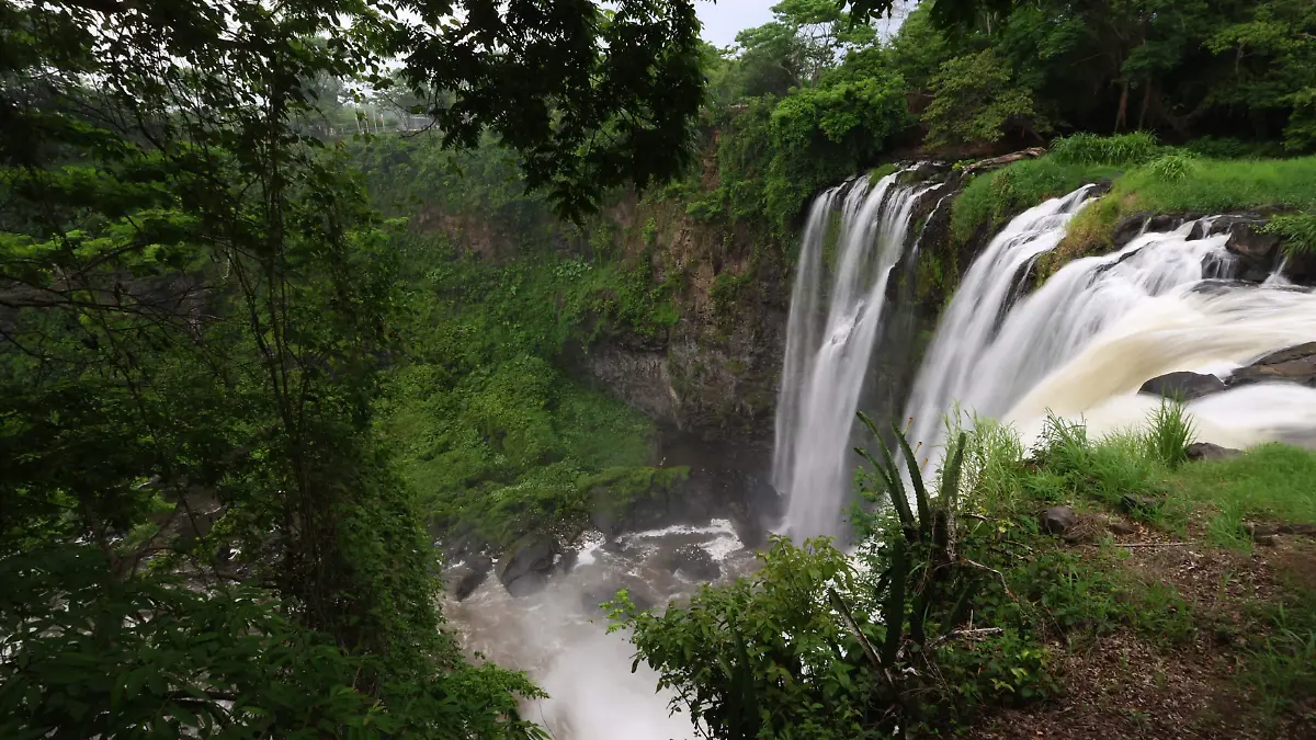 Salto Eyipantla (3)