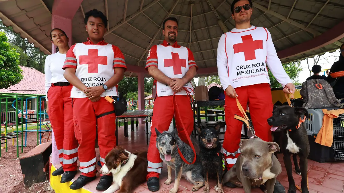 Cruz Roja (1)
