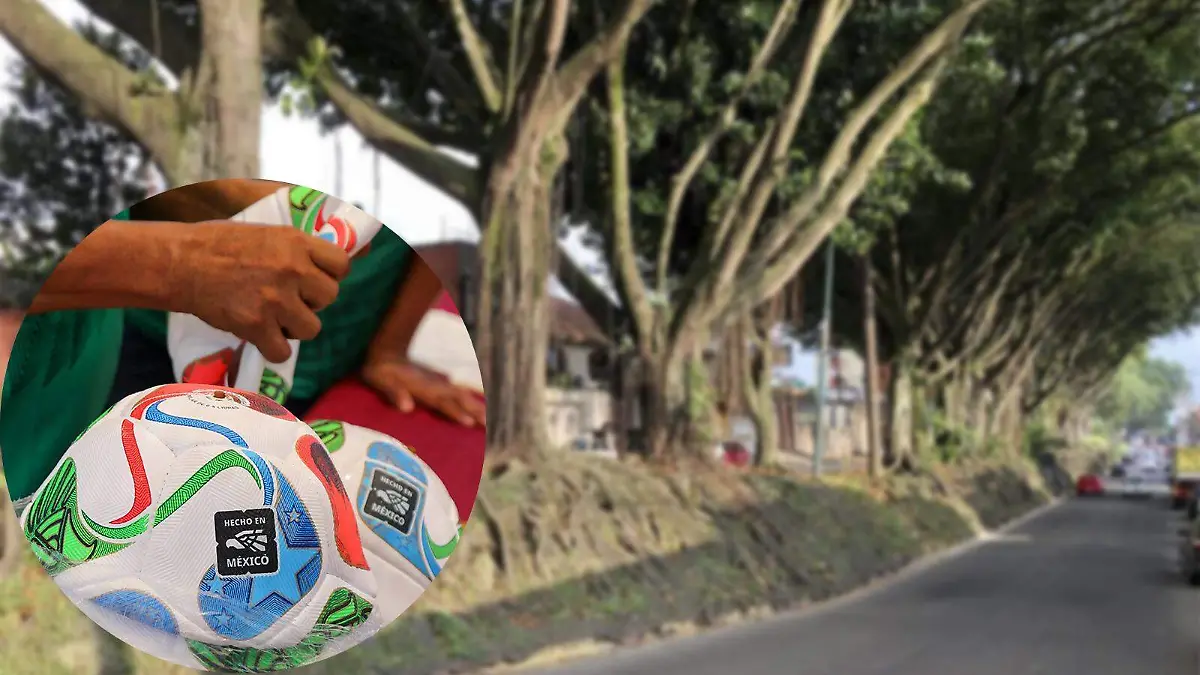 Balones árbol Xalapa