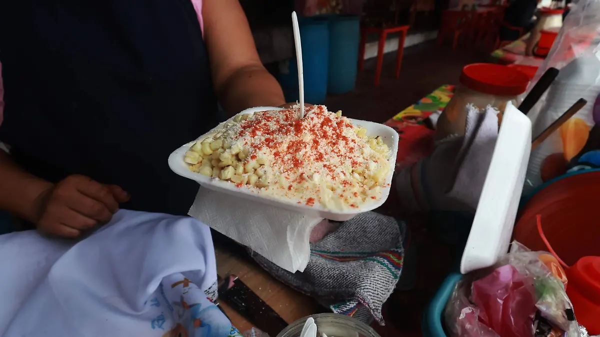 Coacoatzintla Elotes (6)