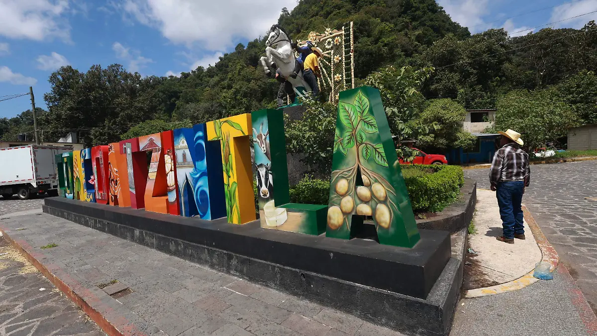 Cultivos de elote (3)