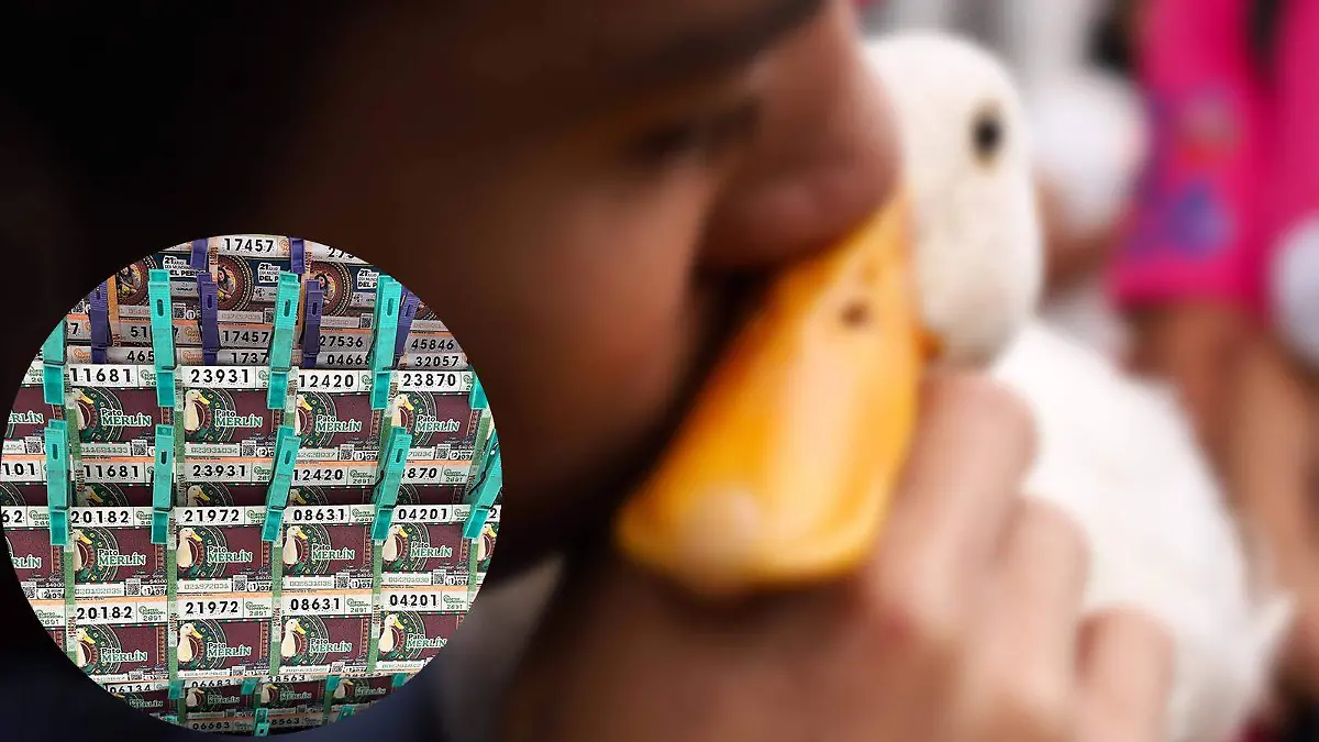 Pato Merlin