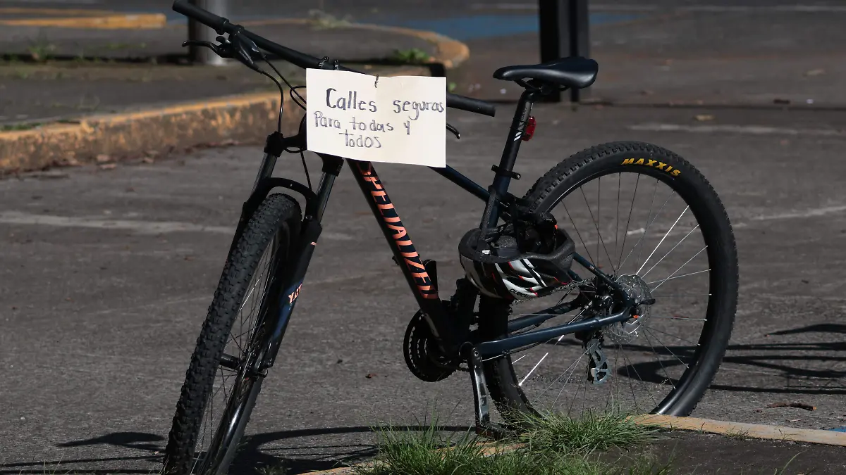 ciclistas transito (23)