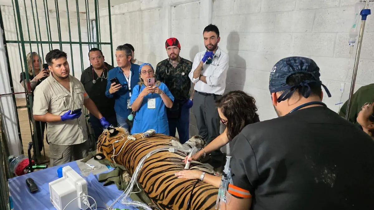 Revisión fauna (2)
