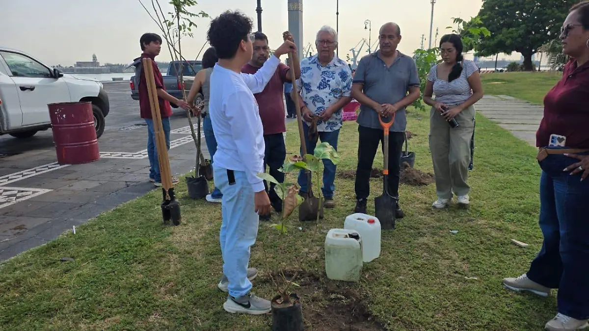 arborizacion (5)
