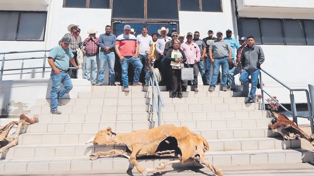 sader_manolo_aguirre_heraldo_de_chihuahua