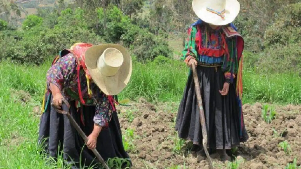 mujer-campesina