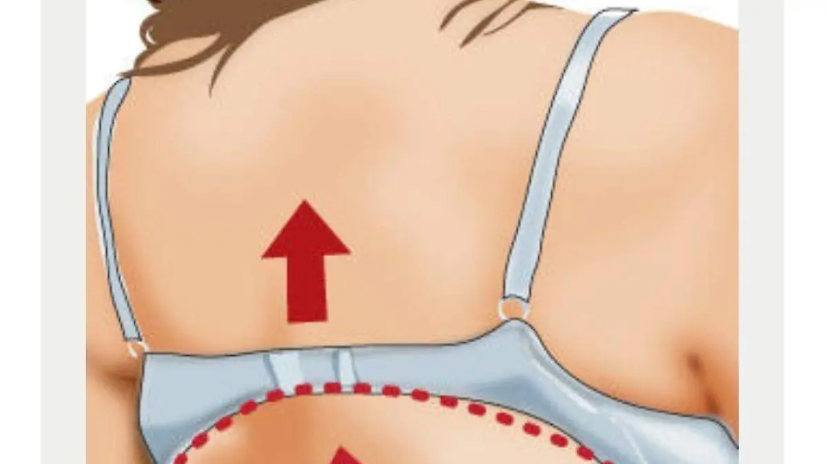 brasier corto en espalda