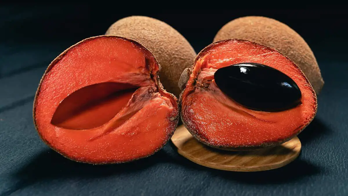 Mamey-dulce