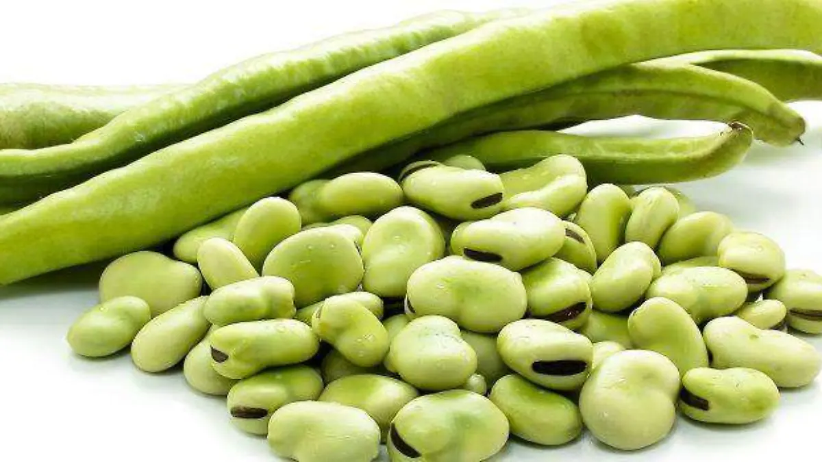 Vegetal